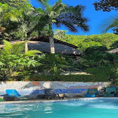 Monte Verde Hostal 埃尔扎伊诺 外观 照片