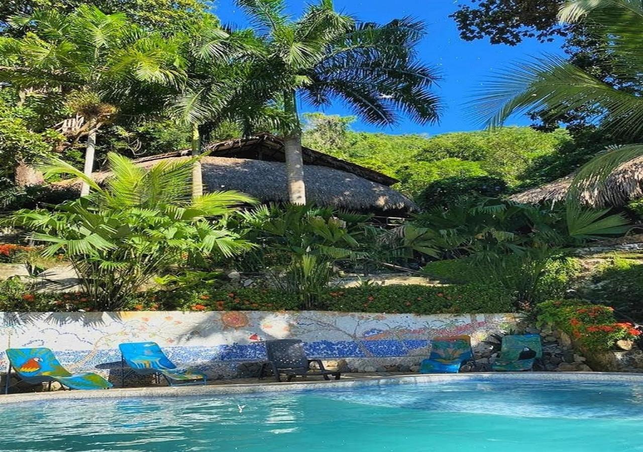Monte Verde Hostal 埃尔扎伊诺 外观 照片