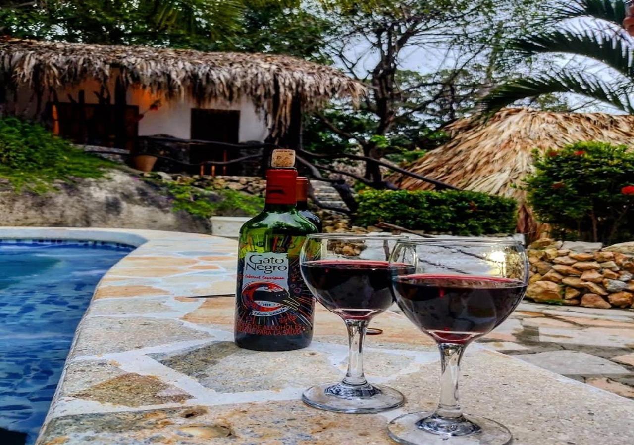Monte Verde Hostal 埃尔扎伊诺 外观 照片