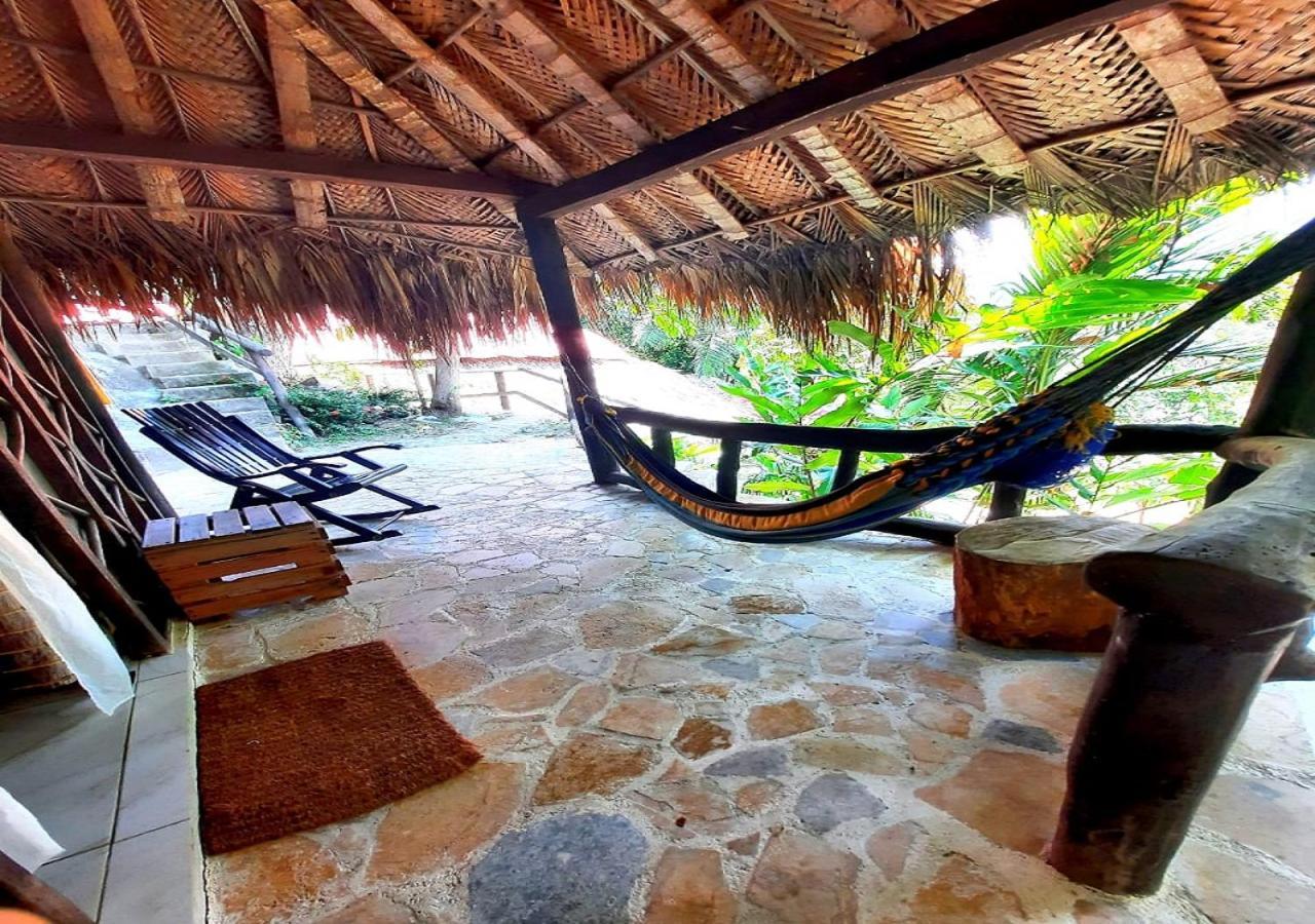 Monte Verde Hostal 埃尔扎伊诺 外观 照片