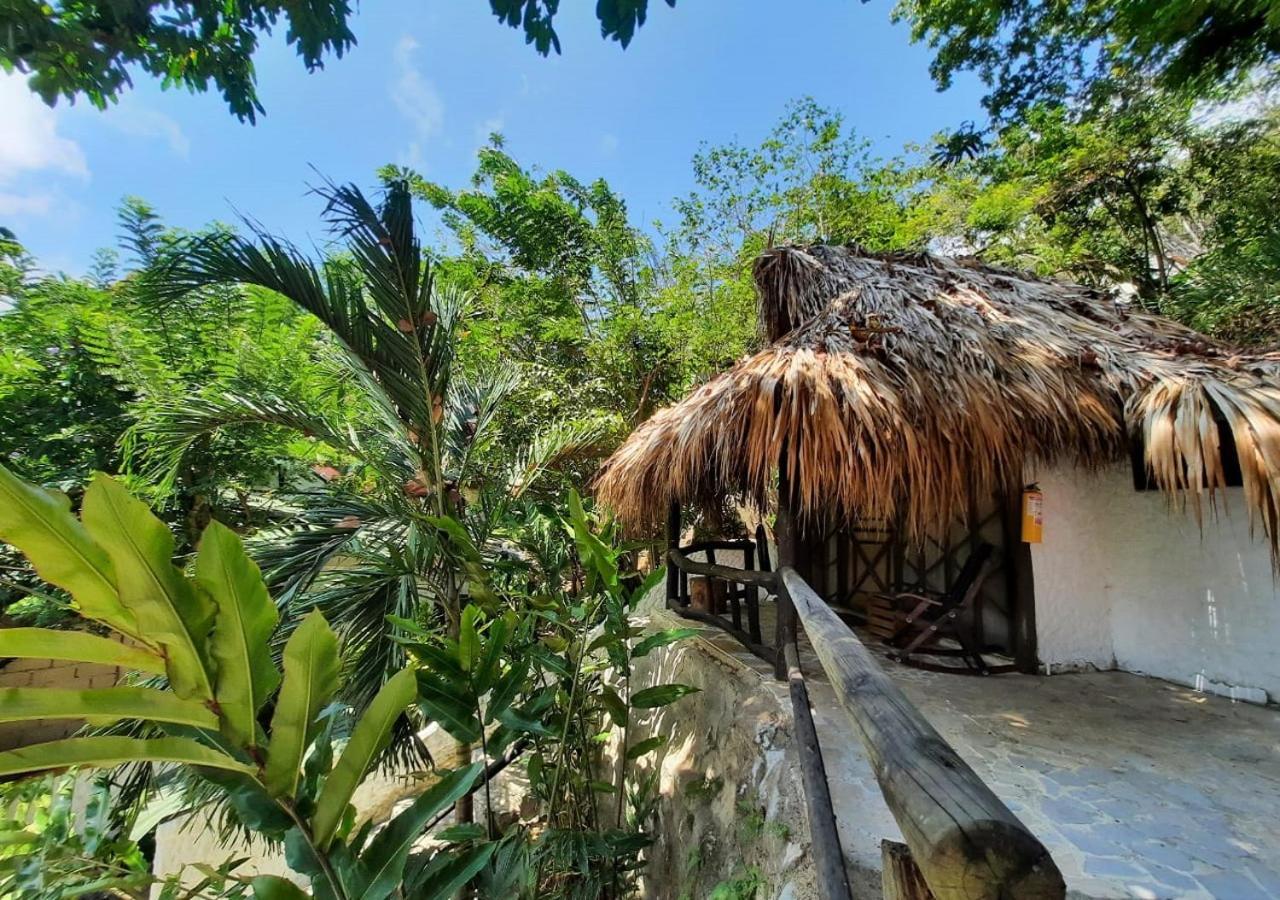 Monte Verde Hostal 埃尔扎伊诺 外观 照片