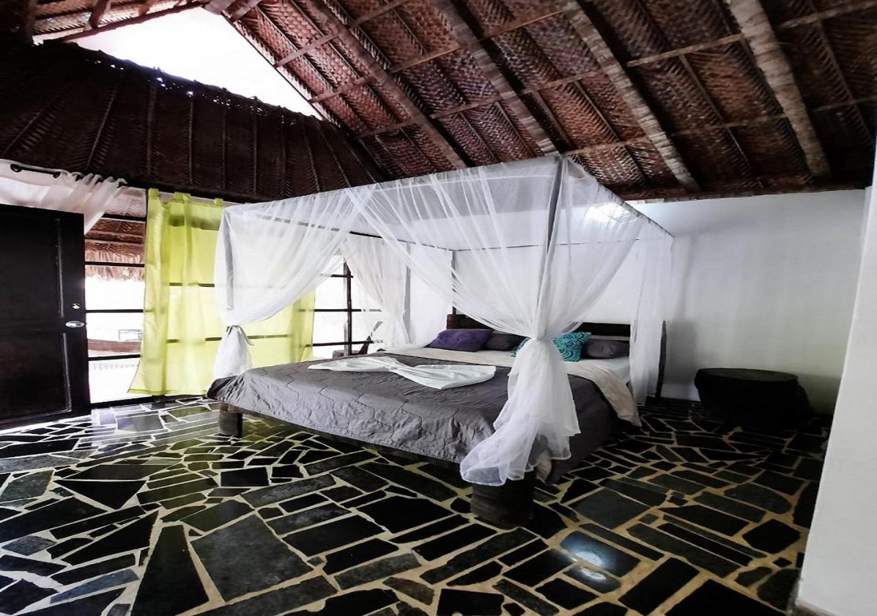 Monte Verde Hostal 埃尔扎伊诺 外观 照片