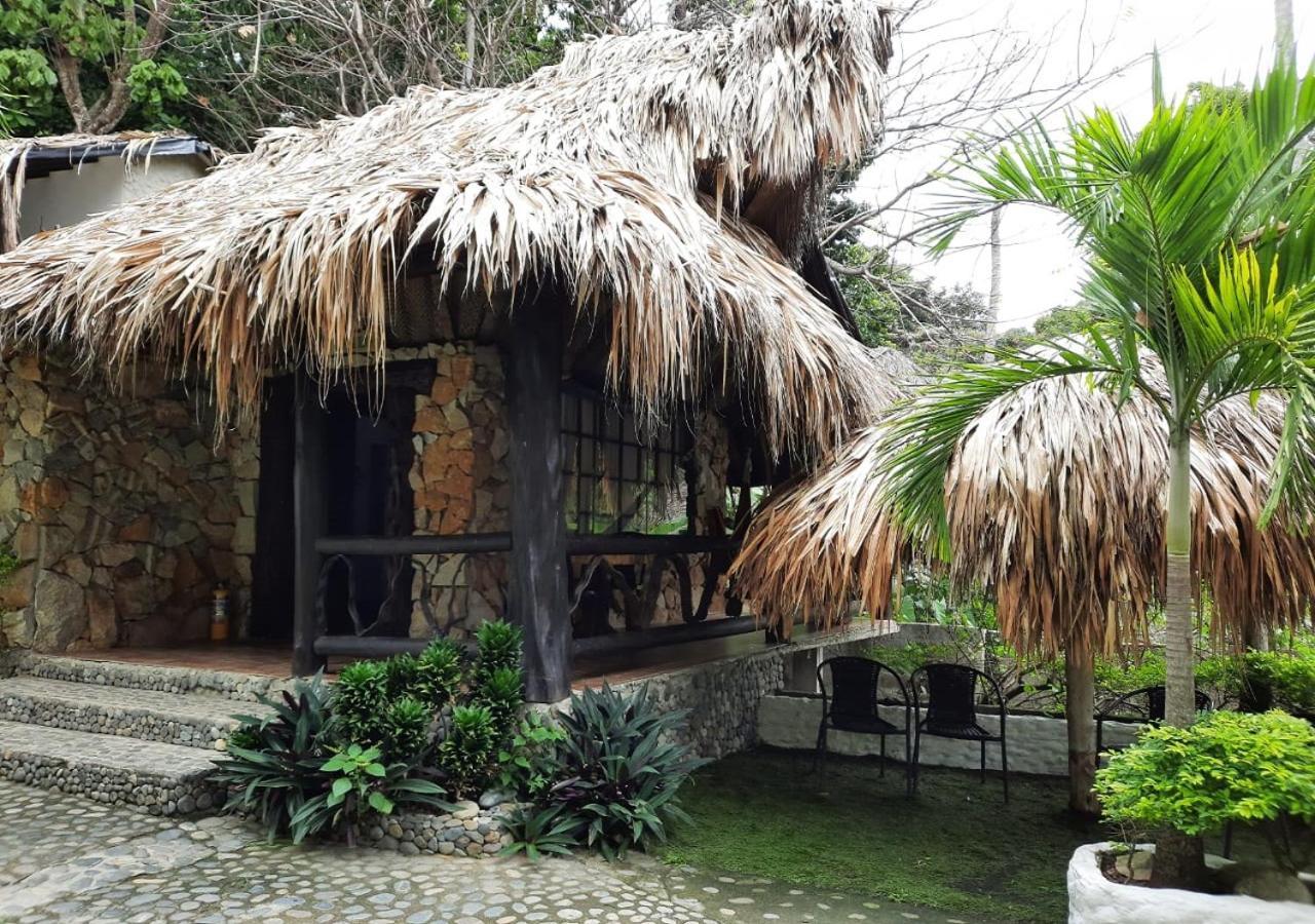Monte Verde Hostal 埃尔扎伊诺 外观 照片