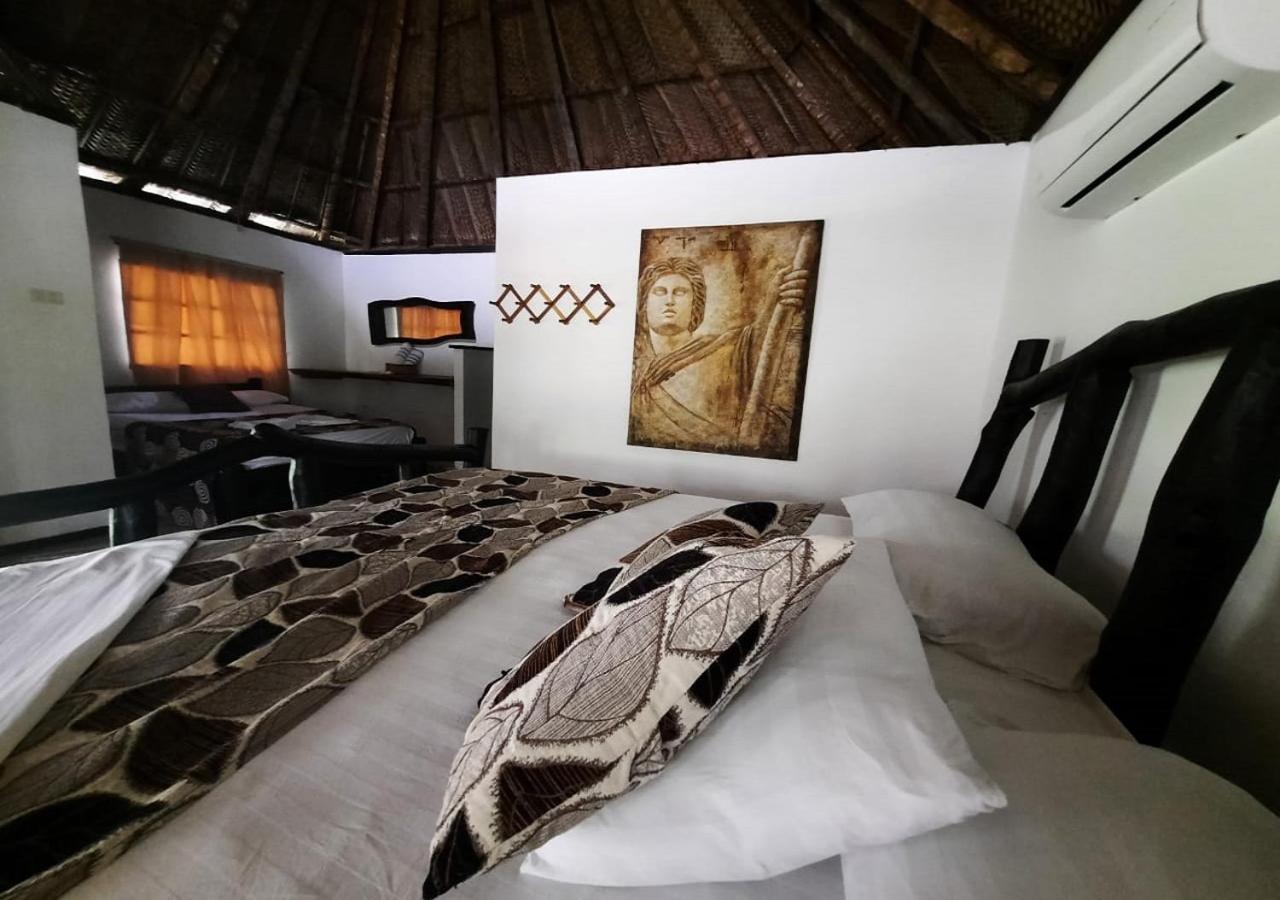 Monte Verde Hostal 埃尔扎伊诺 外观 照片