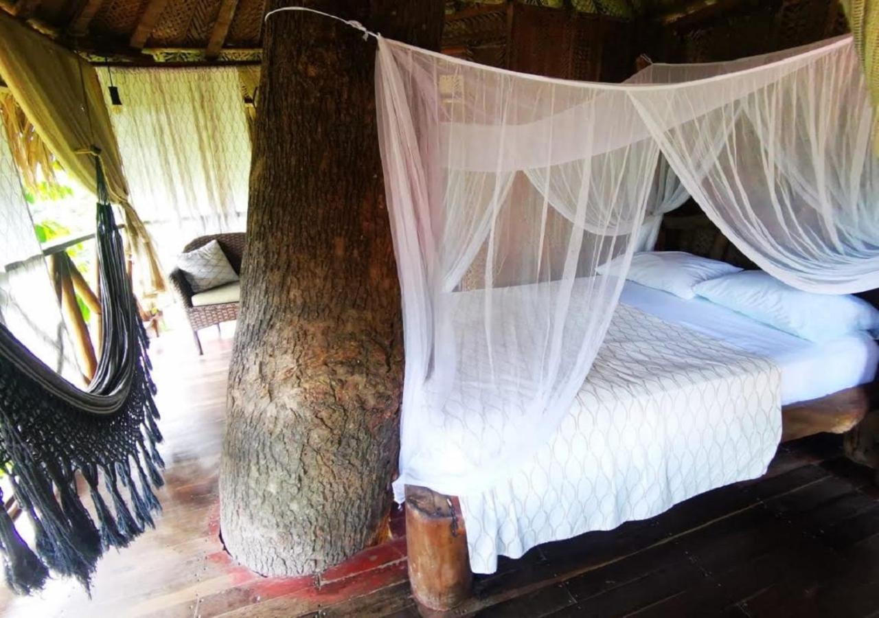 Monte Verde Hostal 埃尔扎伊诺 外观 照片