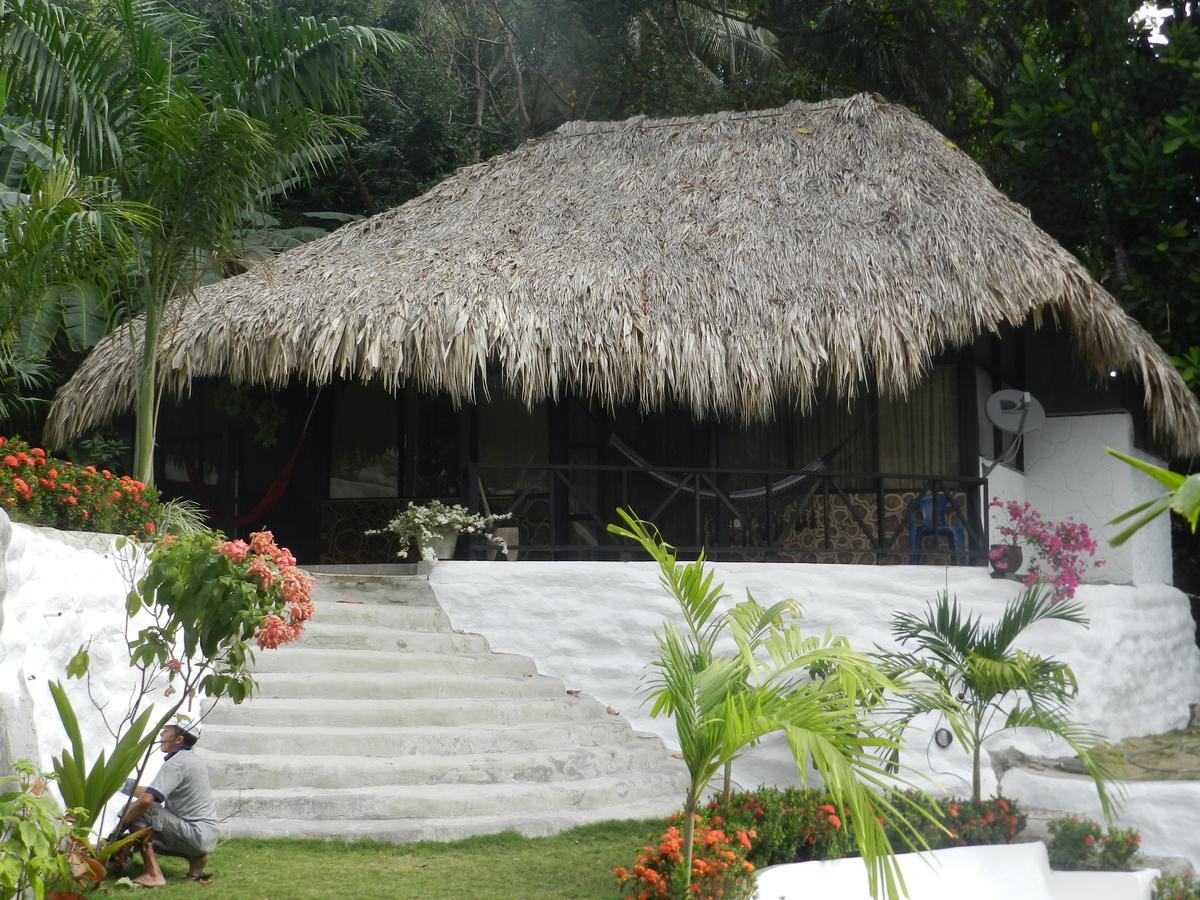 Monte Verde Hostal 埃尔扎伊诺 外观 照片