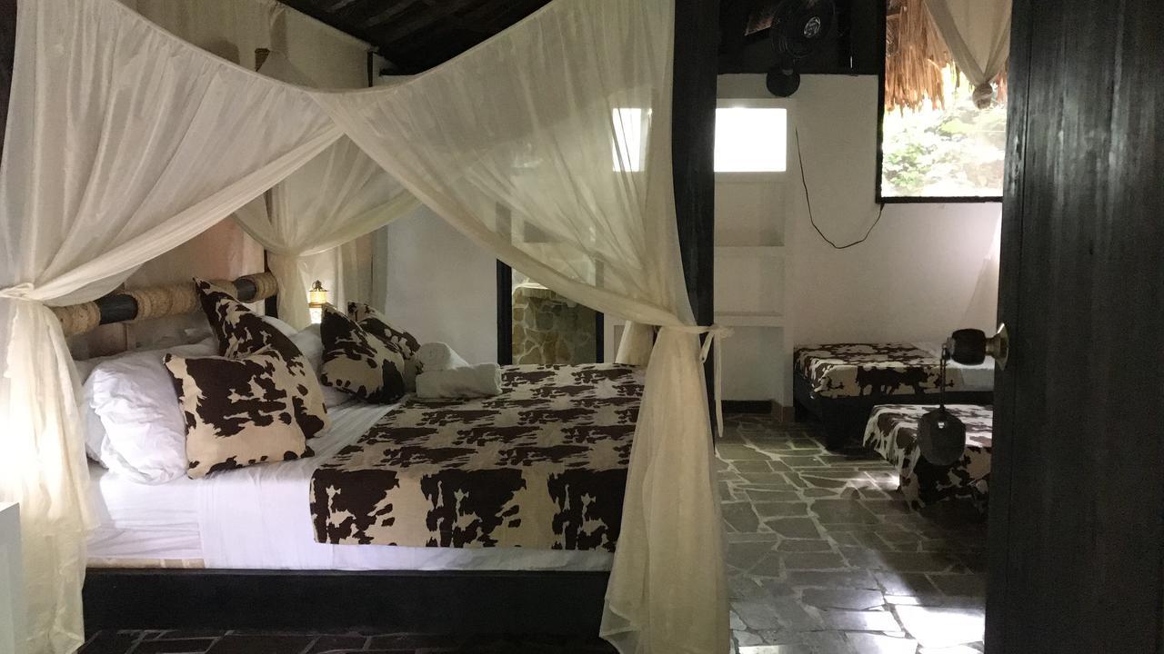 Monte Verde Hostal 埃尔扎伊诺 外观 照片