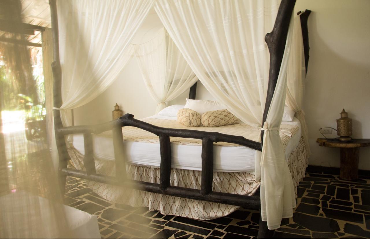 Monte Verde Hostal 埃尔扎伊诺 外观 照片