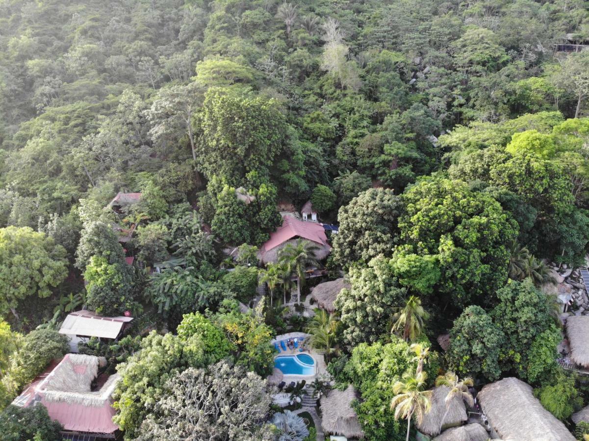 Monte Verde Hostal 埃尔扎伊诺 外观 照片