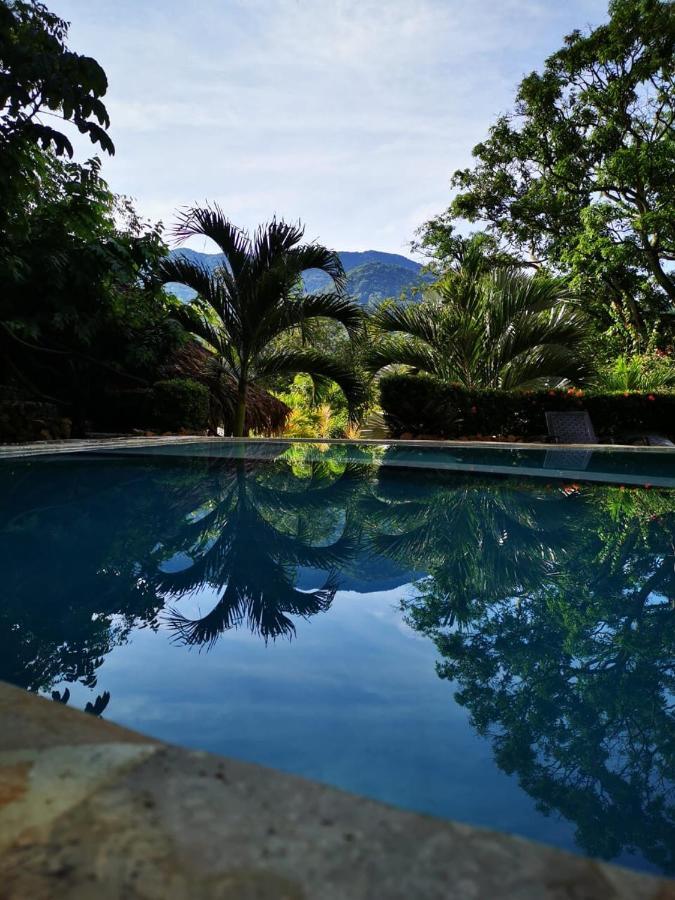 Monte Verde Hostal 埃尔扎伊诺 外观 照片